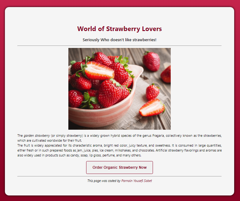 world of strawberry lovers project